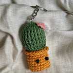 Load image into Gallery viewer, Prickle-free and adorable 💚🌵
